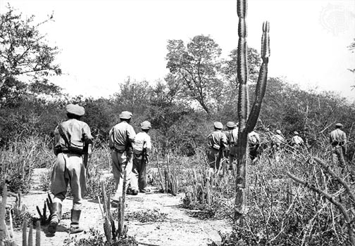 http://wartime.narod.ru/Bolivian_Patrol_in_Chaco.jpg